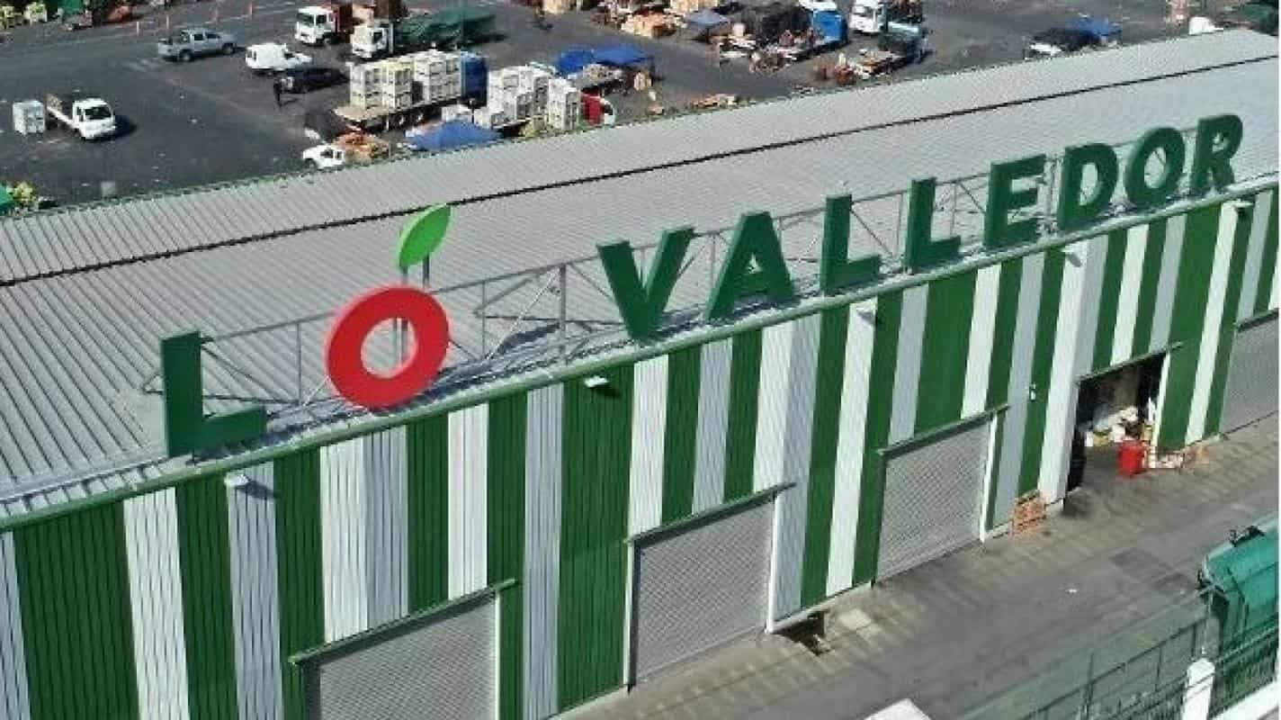 Lo Valledor: El Corazón Mayorista de Chile